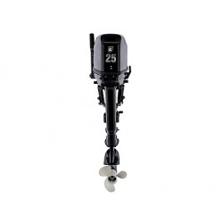 GOLFSTREAM T 25 BMS
