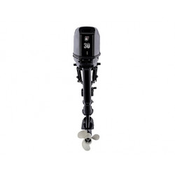 GOLFSTREAM T 30 AFWS