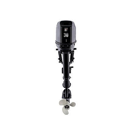GOLFSTREAM T 30 AFWS