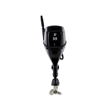 GOLFSTREAM F 9.9 BMS