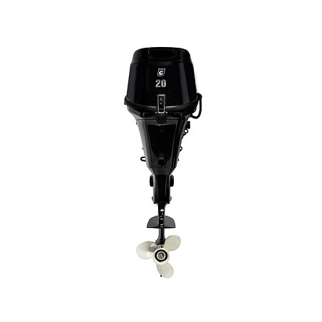GOLFSTREAM F 20 AFWS