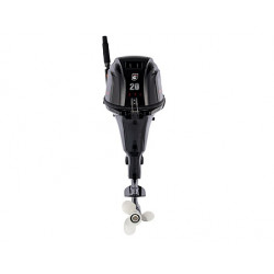 GOLFSTREAM F 20 ABWS-EFI