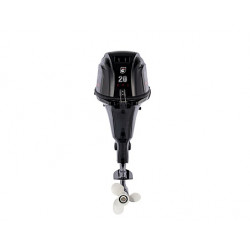 GOLFSTREAM F 20 AFWL-EFI