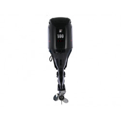 GOLFSTREAM F 100 FEL-T-EFI