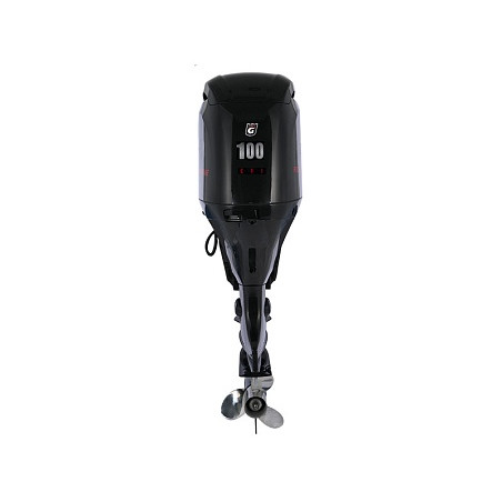 GOLFSTREAM F 100 FEL-T-EFI