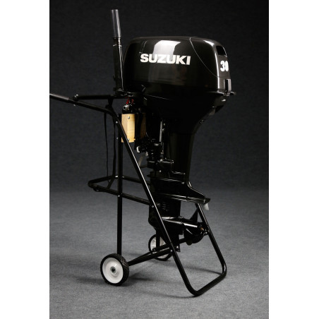 Suzuki DT30AL